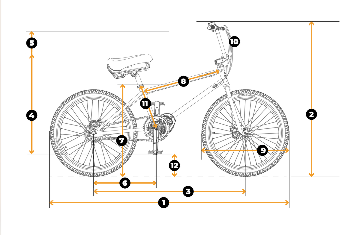 Evolve Project BMX Bike 2024